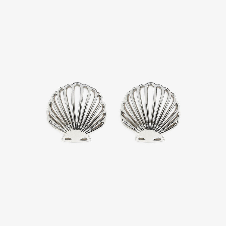 Delicate Shell Stud Earrings