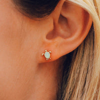 Sea Turtle Stud Earrings Gallery Thumbnail