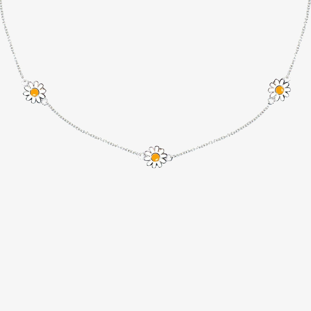 Daisy Choker 1