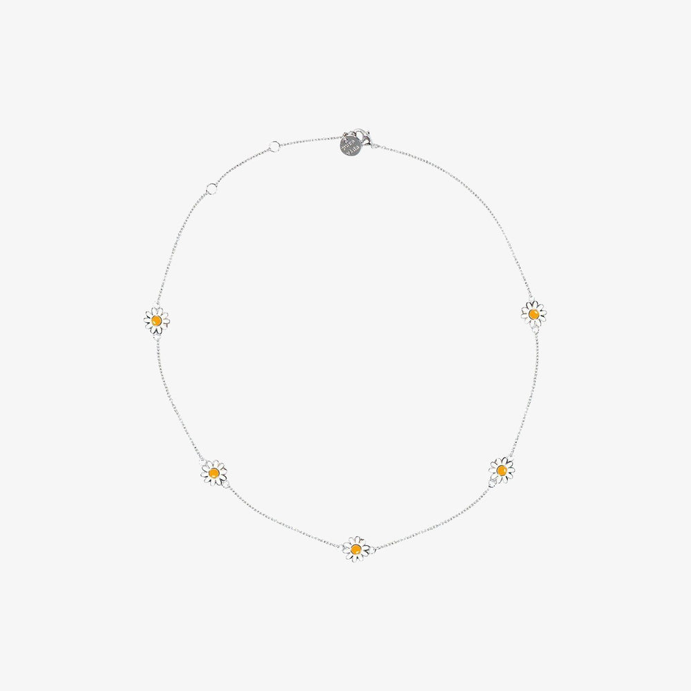 Daisy Choker 2